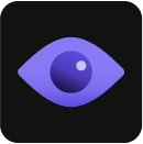 Vision icon